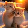 junesxfrends