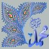 yaasin67