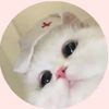 greycat12345