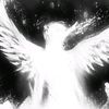 raynox99