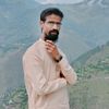 user731163064