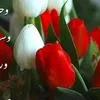user3233313907698