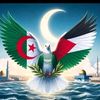 boudidmouloud