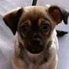 ginni2.01
