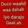 boqorada.dadamadheedh.88
