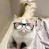 ys4yssie_m