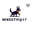 mikestif17