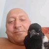 snie.8