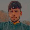 zilysab