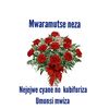 user8407021027794