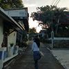 dalidalido_