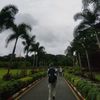 ayuukaung4