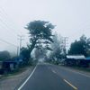 iky07082001