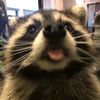 taph_main3