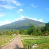 kinanhijau