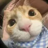 engggg22222