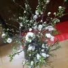 thuy.nguyen9883