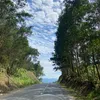 longvuu05