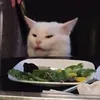 gato_comendo_salada