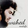 waheedmostafa91