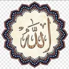 user1442928356121