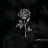 taghred.ahmed28