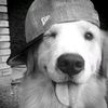 logfy_6