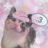 chknu_g