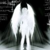 ainotna_013