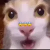 estoybababouy