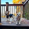 Maci & Co