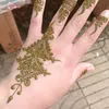 oummaryem0