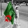 user9184297201569