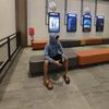 _saidi23