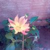 beatrizr357