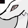 abels_dragons