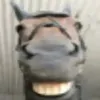 seilaqwcd