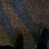 d_elly12
