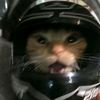 clancy_17_007