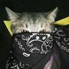 ramzbe_