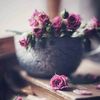 suha_m8