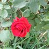 user5491153800401