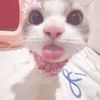 clarnzavxy_