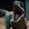 blueisthebestdino67