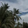 user8659171618607