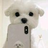 user6001161250624