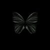 _assshurova_