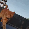 oliwiadolega