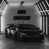 anis.shahzad1