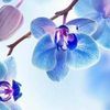 mindfulmotive24